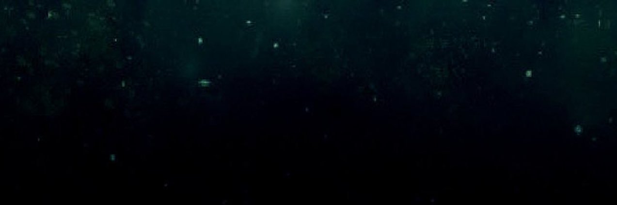ຸ🪲's banner