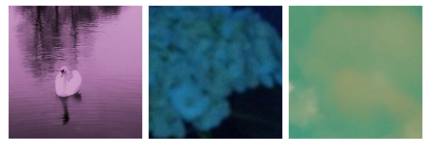 clara banner