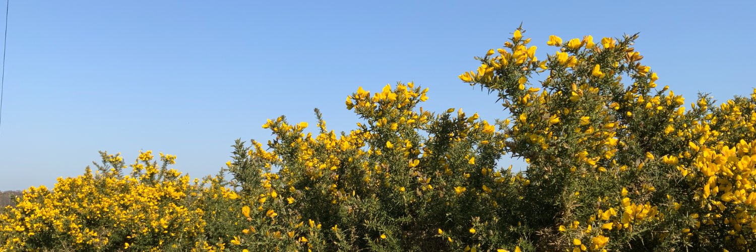 Dorset Heaths Partnership banner