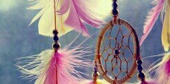 Ursiinhapanda's profile banner image
