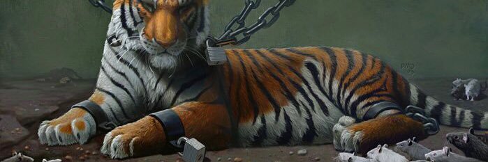 AnthonyPetersn's profile banner image