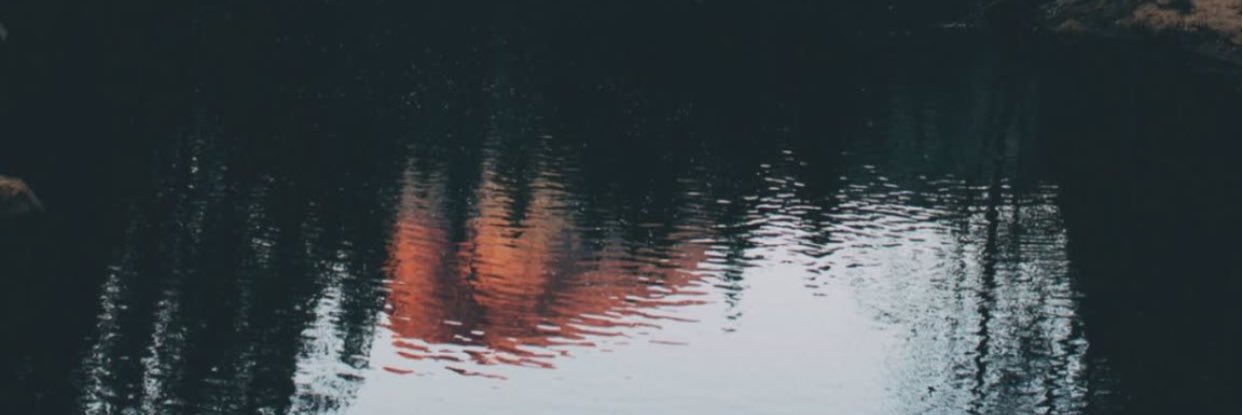 DSaum1721's profile banner image