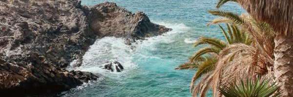 lucindakate26 Profile Banner