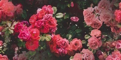 joudy_ao's profile banner image