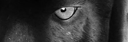 maxx_artt's profile banner image