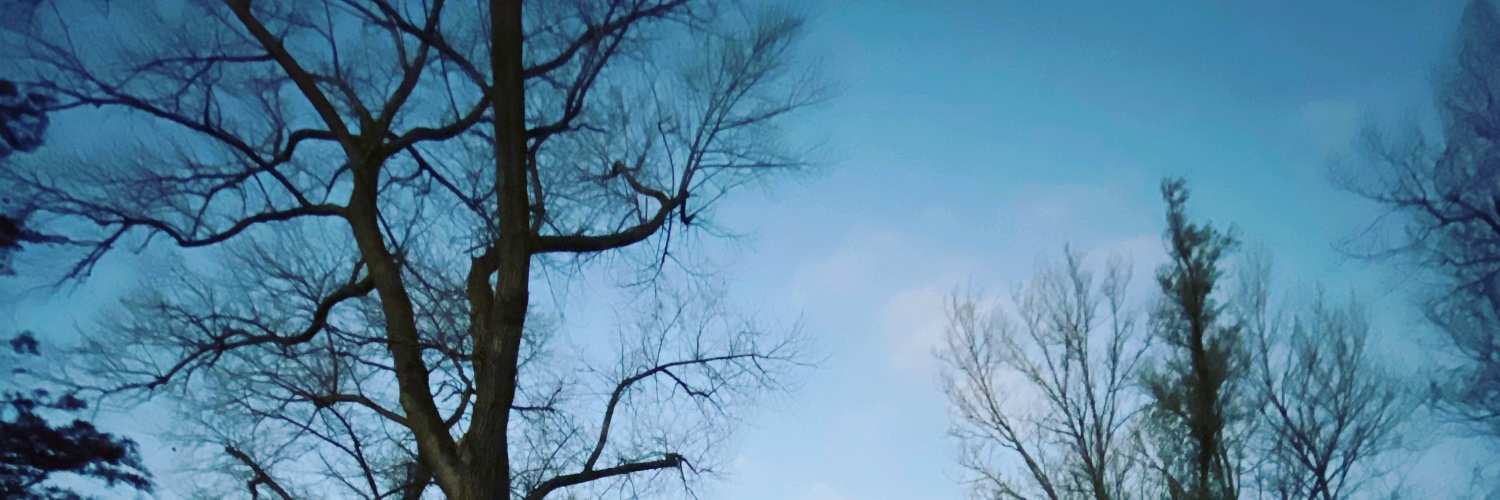 EstherKeizer's profile banner image