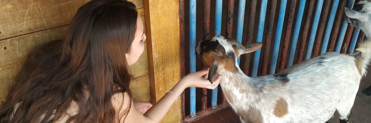 jamile__costa's profile banner image