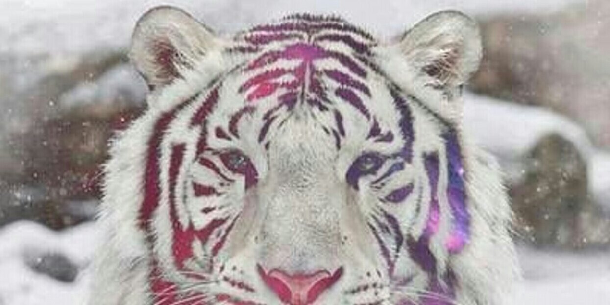 yemabdulhamid's profile banner image