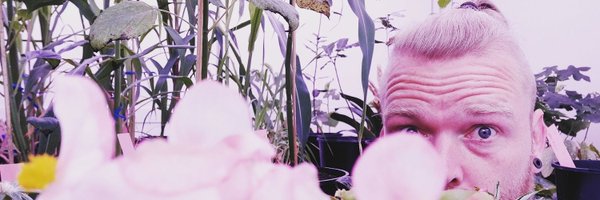 Phischuler Profile Banner