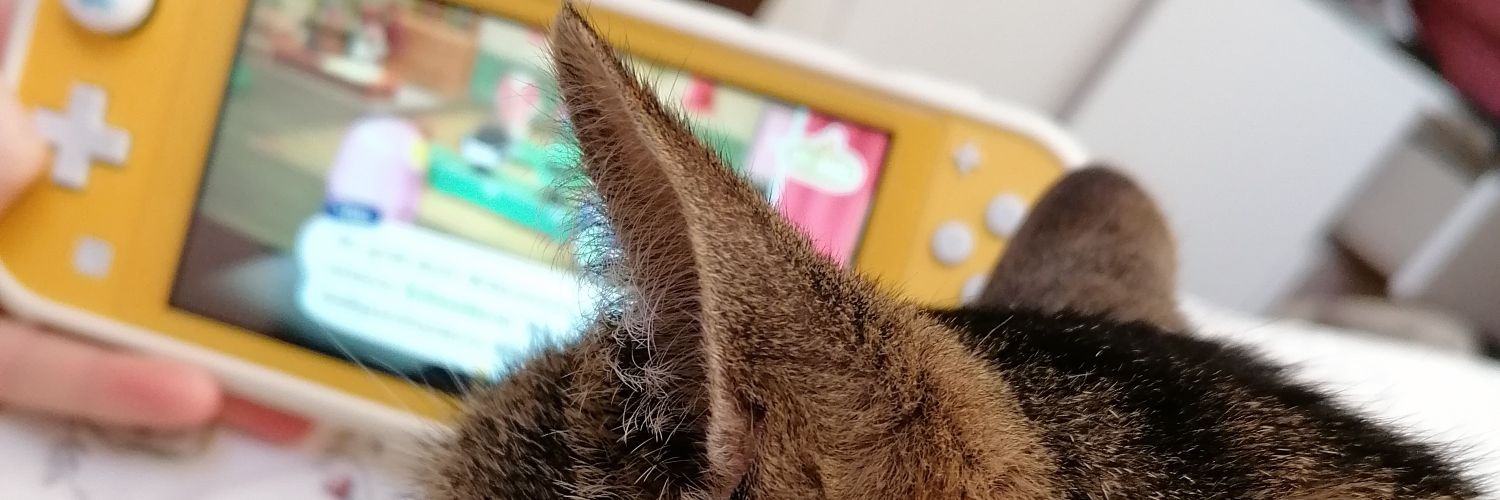 queenycrossing's profile banner image