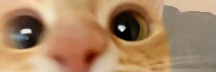 MvilyD's profile banner image