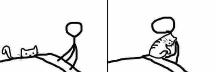 _teodoroleticia's profile banner image
