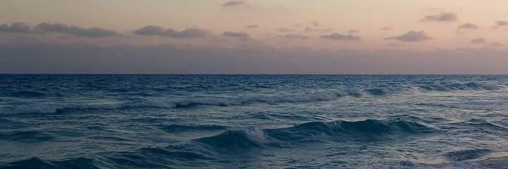 Mahmoud Ferig banner