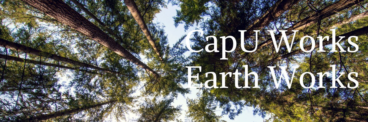 CapU Sustainability banner