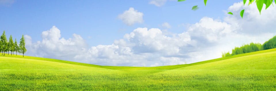 Manoli banner