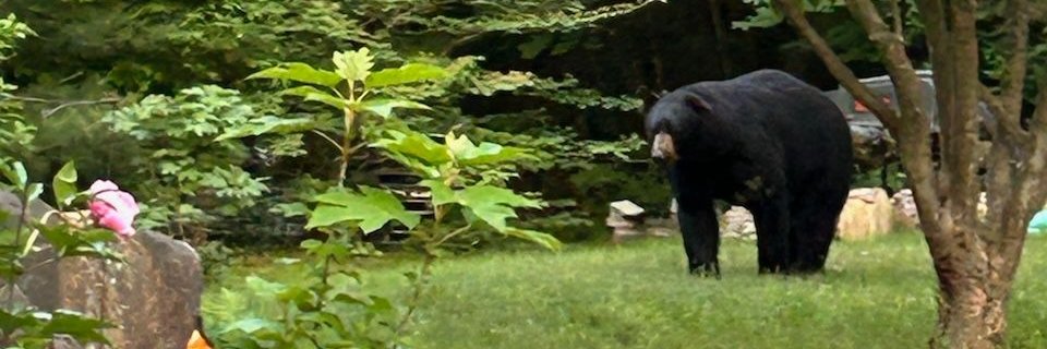 Towman217's profile banner image