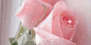 hala_786's profile banner image