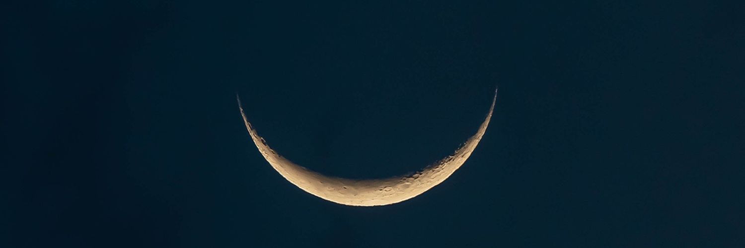gemmab__'s profile banner image