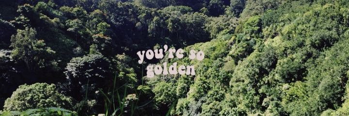 𝙡𝙚𝙚ˣ 𐚁 banner