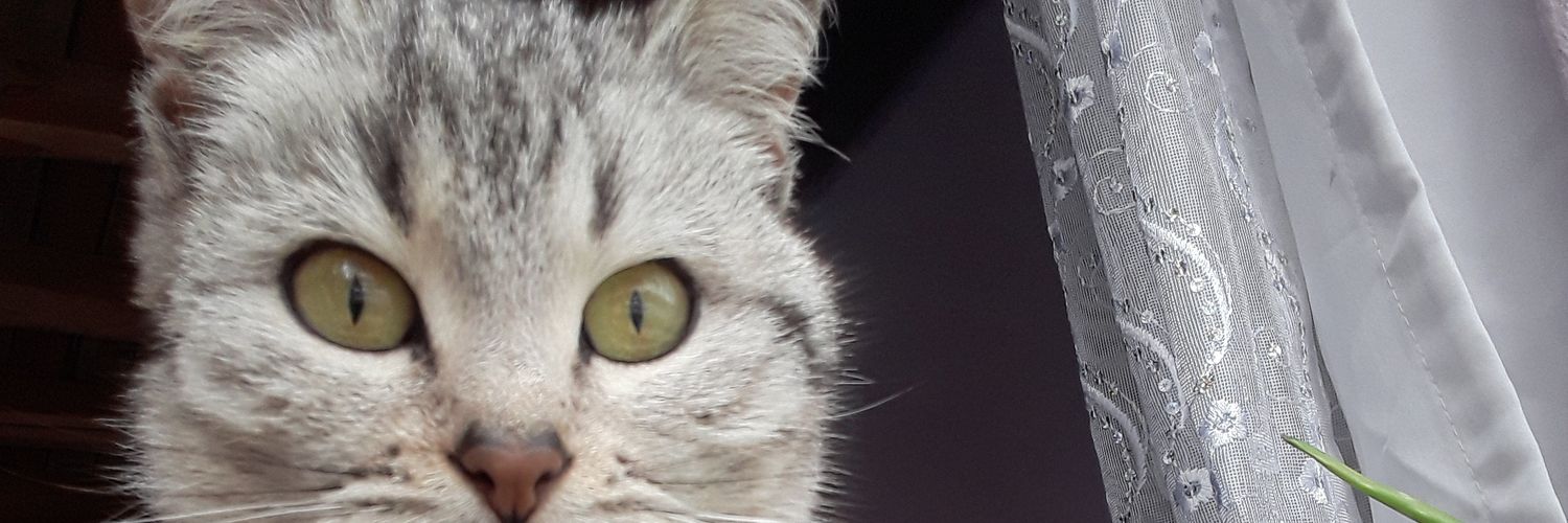 tugcebnr's profile banner image