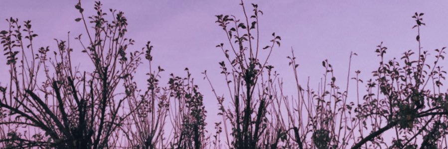 YuCarra's profile banner image