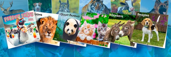 petcalendars Profile Banner