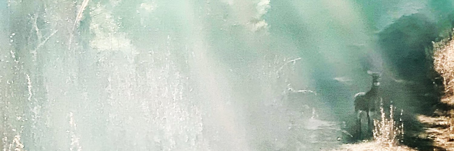 stacy89574272's profile banner image