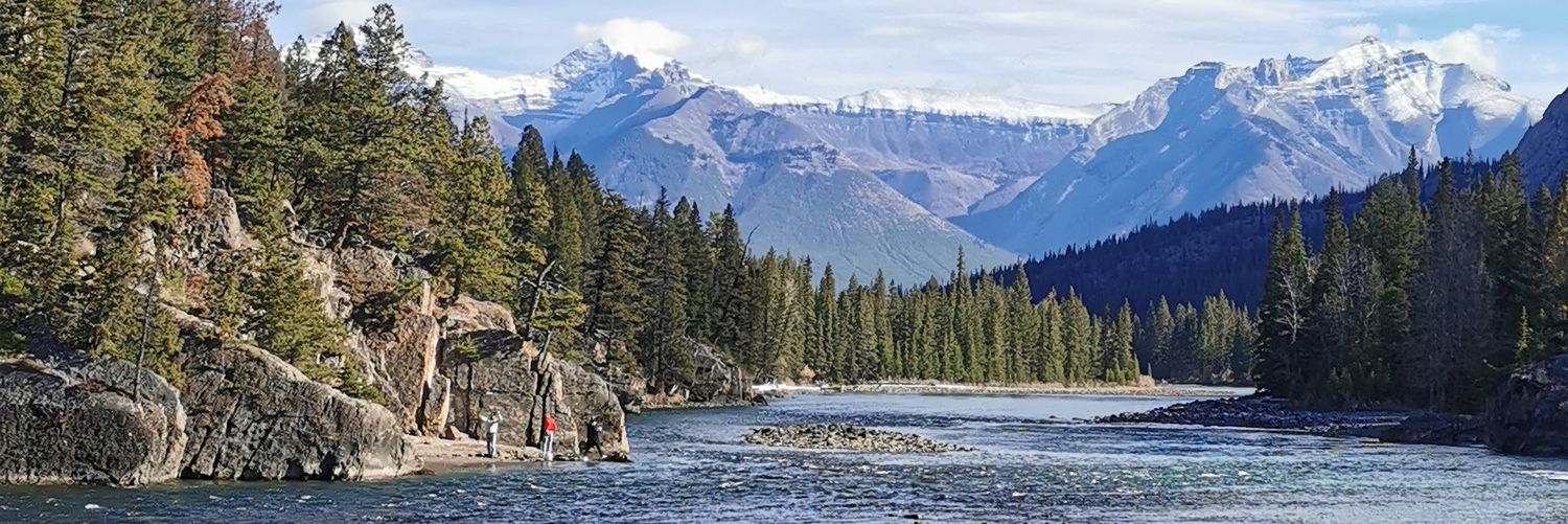 Yorkshire lad banner