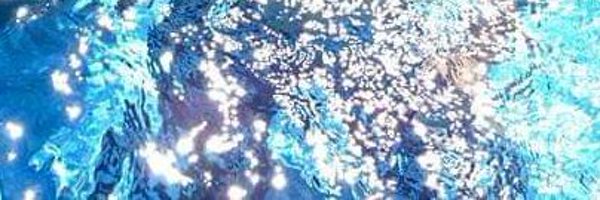 transtweets69 Profile Banner