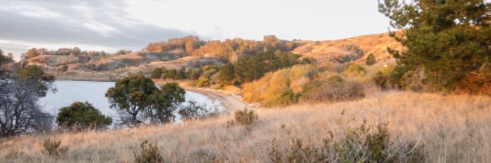 Pt. Molate Alliance banner