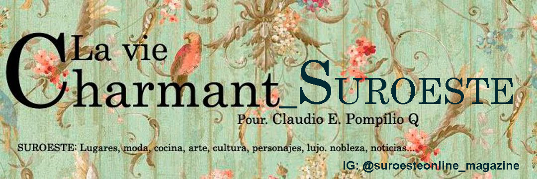 SUROESTE_ International magazine banner