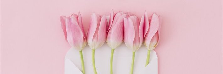 DODADT's profile banner image