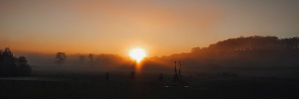 mckelvey_helen Profile Banner