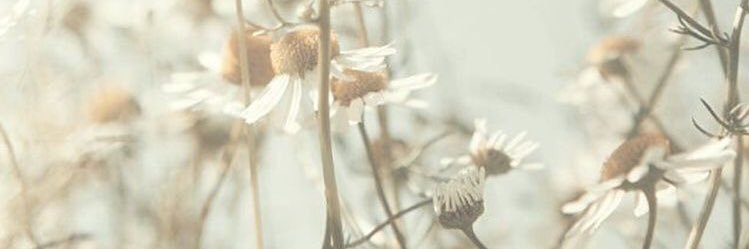 _aimanfaheem_'s profile banner image
