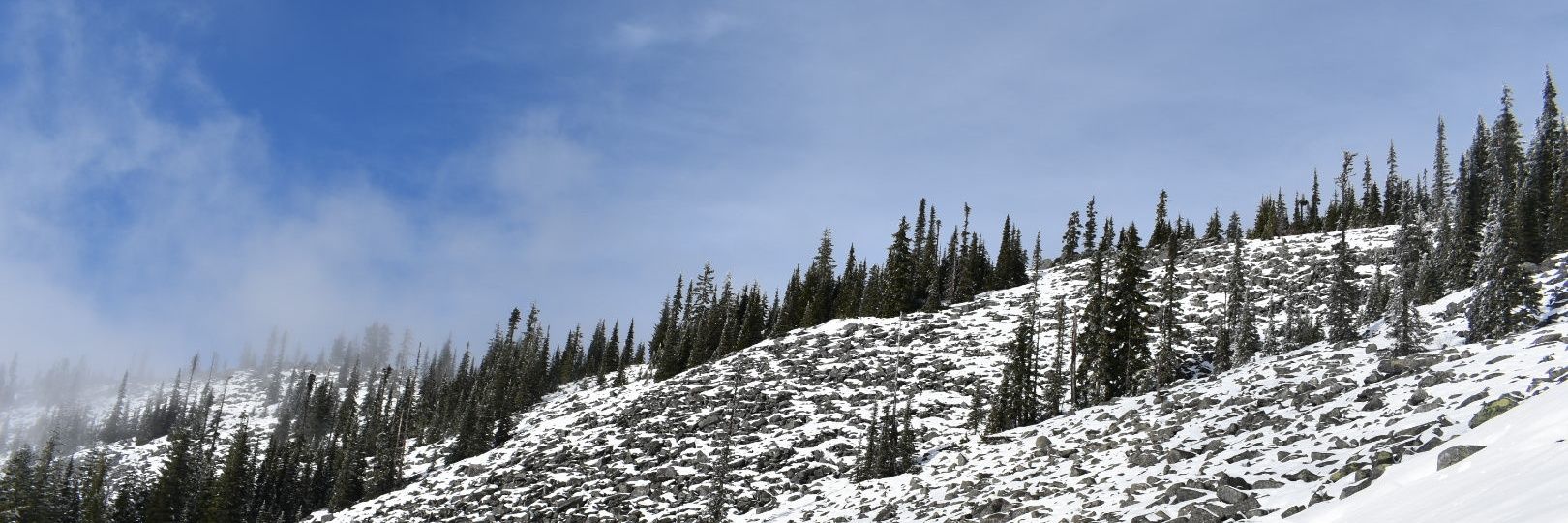 LissaXbee's profile banner image
