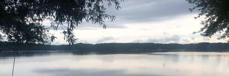 MsWatsonAP's profile banner image