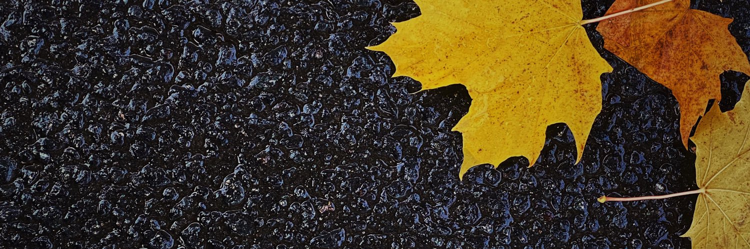 matildaulming's profile banner image