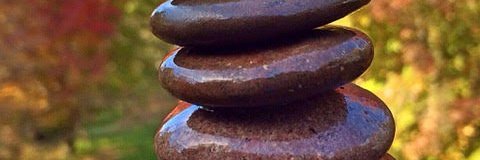 Cellia33182399's profile banner image
