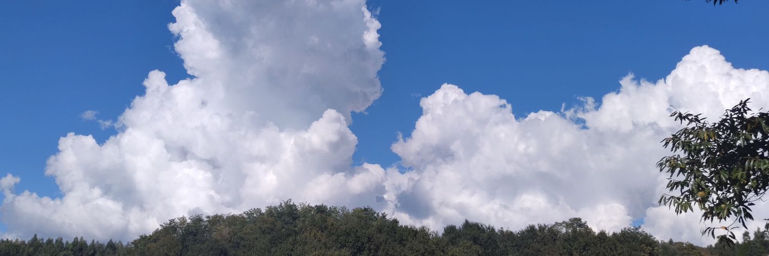 gil_jor's profile banner image