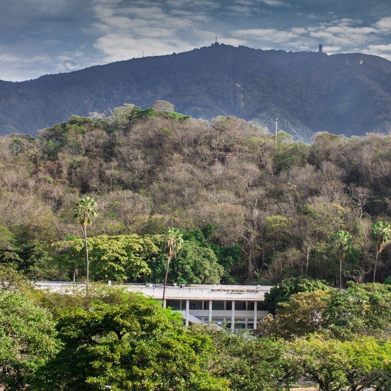 Infectología IMT UCV banner