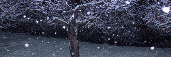 Aeshah__ Profile Banner