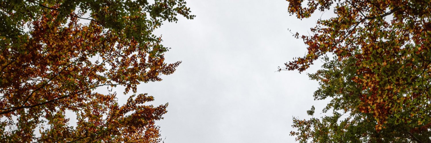 foreigngotem banner