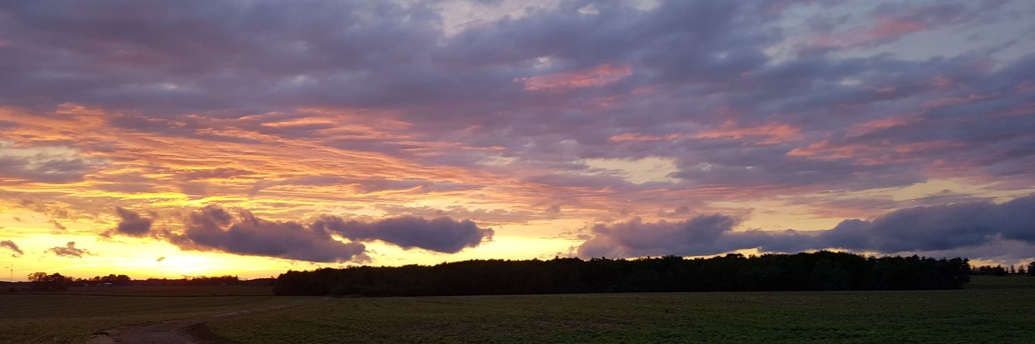 Karen Daynard banner