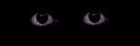 OmarElSedemy's profile banner image