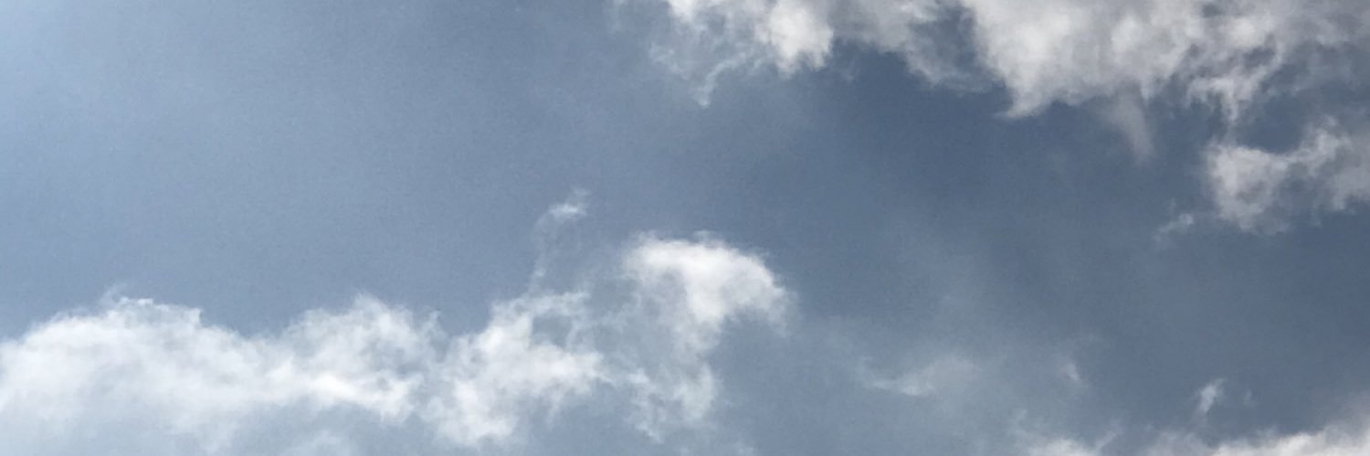 bie. banner