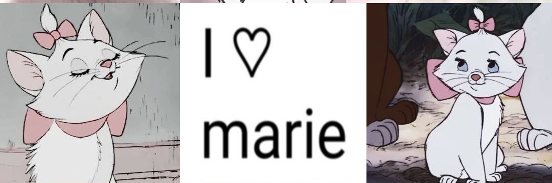 alipahh banner