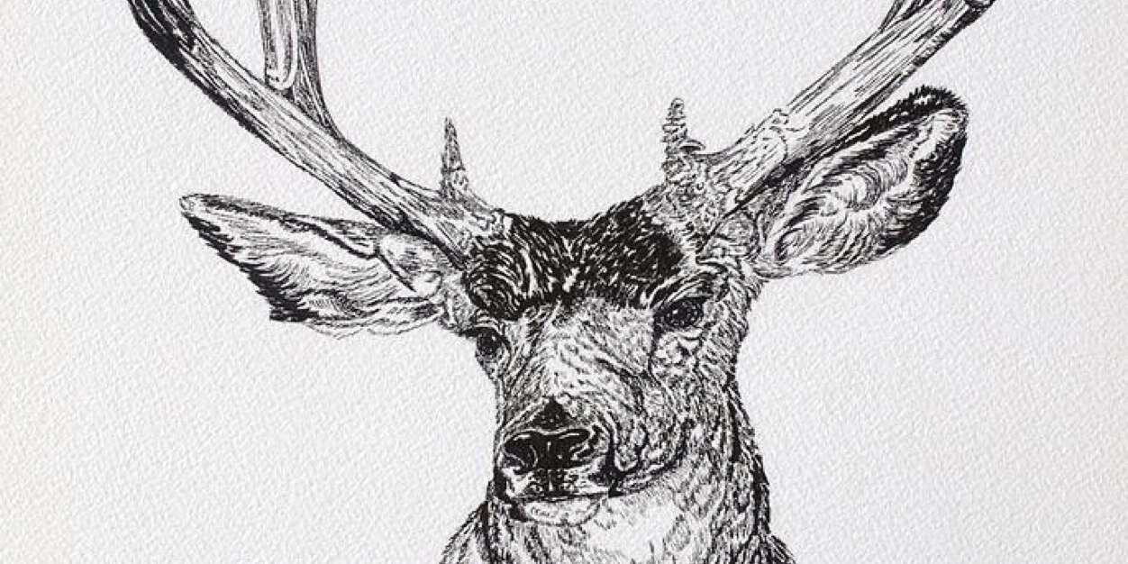 arthurvelazquez's profile banner image