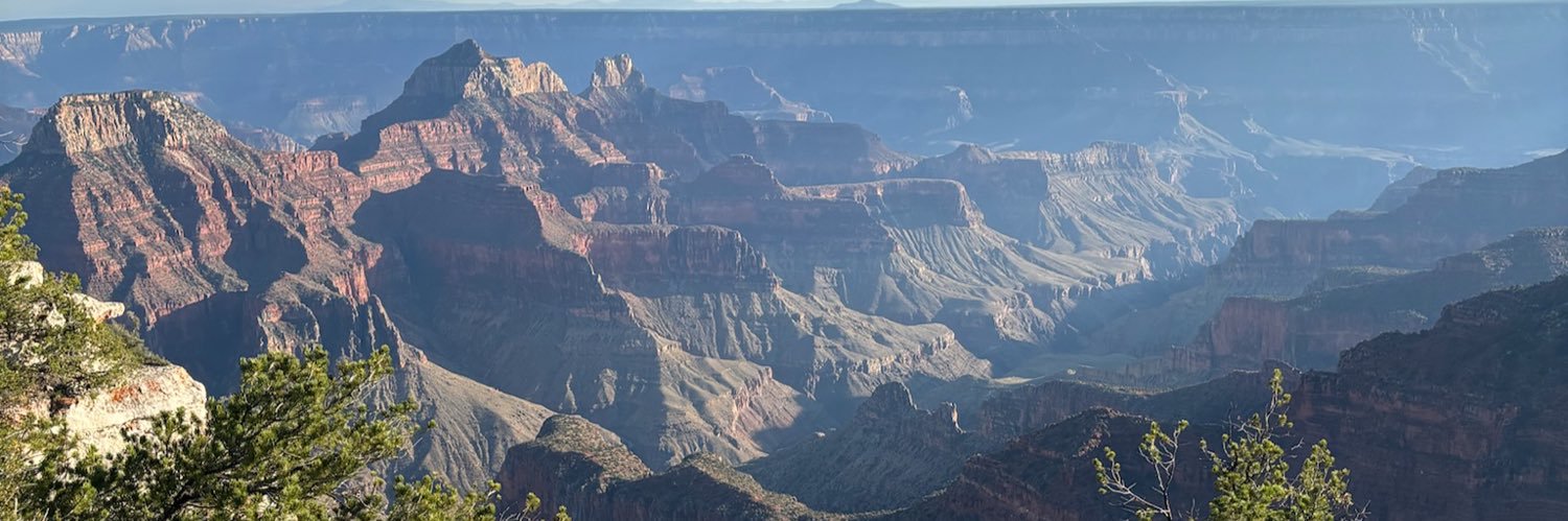 Bo Montgomery banner