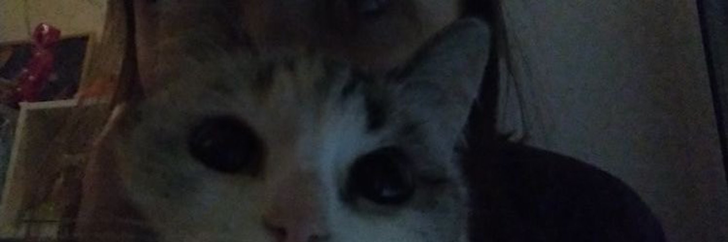 мать твоя вот и все (huringtoun) Twitter