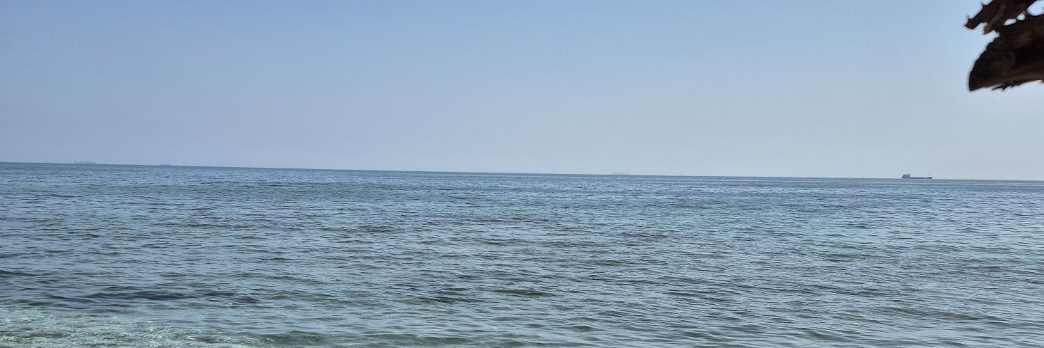 ali_econ101's profile banner image